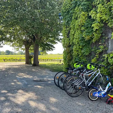 The Gite At Chateau Magdeleine Bouhou *