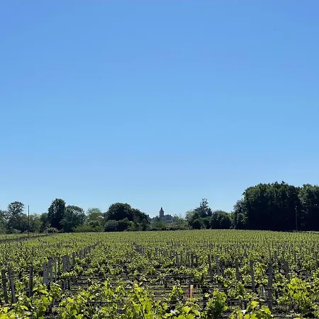The Gite At Chateau Magdeleine Bouhou Cars