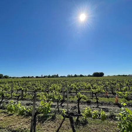 The Gite At Chateau Magdeleine Bouhou *